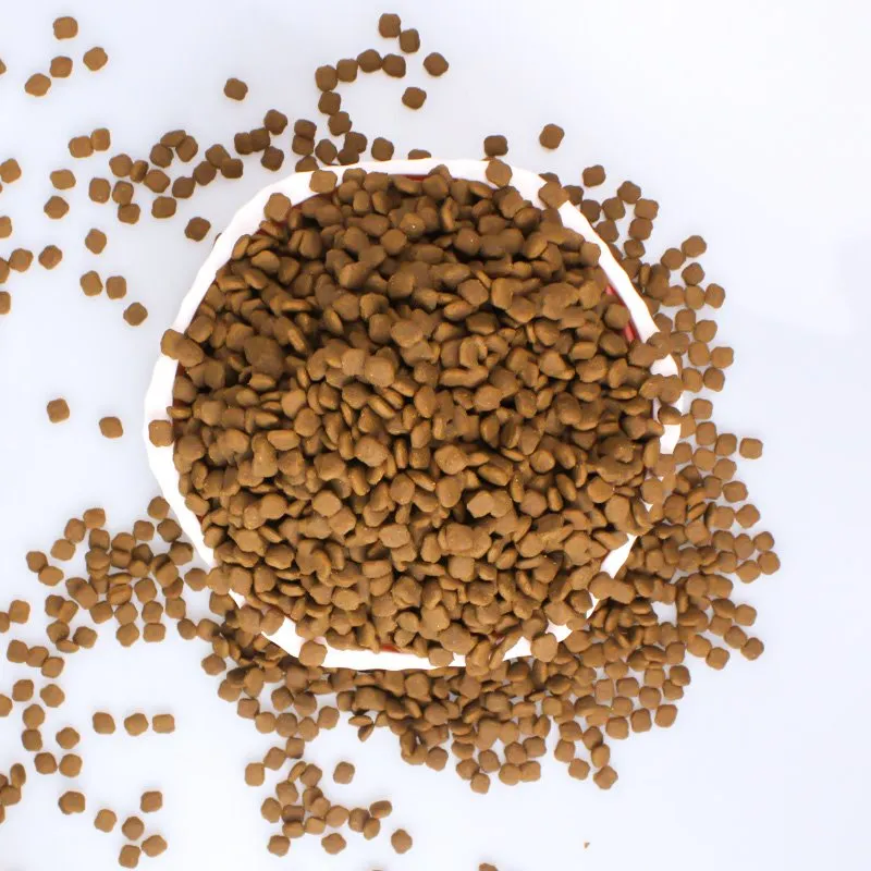 Najbolja hranjiva hrana za pse